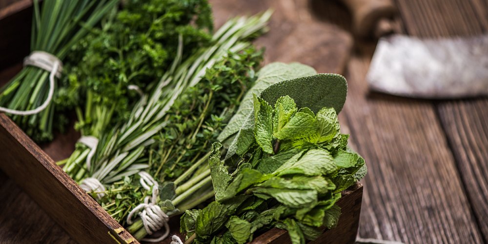 Které bylinky použít během vaření a které až před servírováním