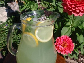 Bylinkovo-okurkový nápoj