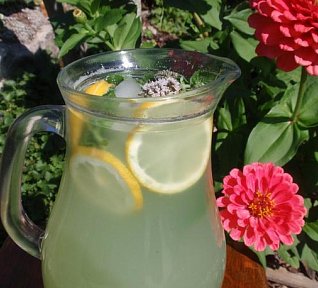 Bylinkovo-okurkový nápoj