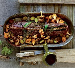 Srnčí hřbet na liškách