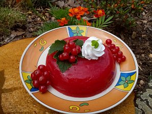 Osvěžující rybízové želé