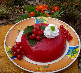 Osvěžující rybízové želé