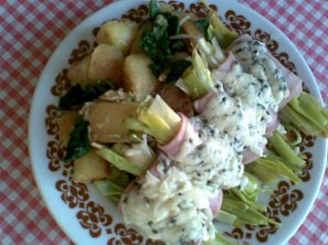 Máslový pórek v šunce se sýrem