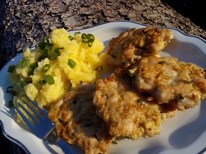 Kuřecí placičky s hlívou