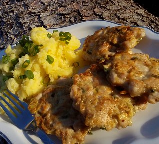 Kuřecí placičky s hlívou