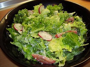 Salát se sýrovo-bylinkovou zálivkou