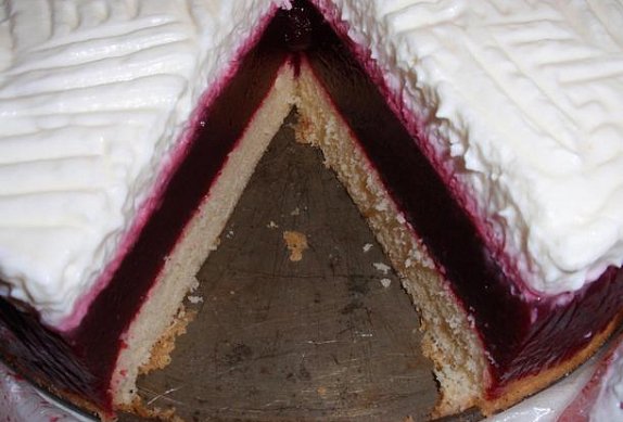 Ostružinový dort (řez) se smetanovým krémem