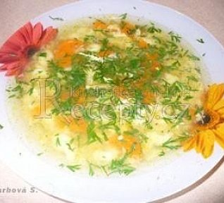 Slepičí polévka s noky