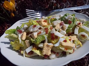 Salát Little Gem s vejcem a slaninou