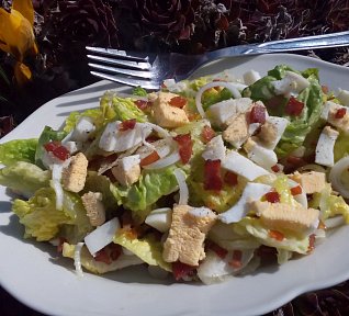 Salát Little Gem s vejcem a slaninou