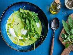 Krémová polévka z medvědího česneku